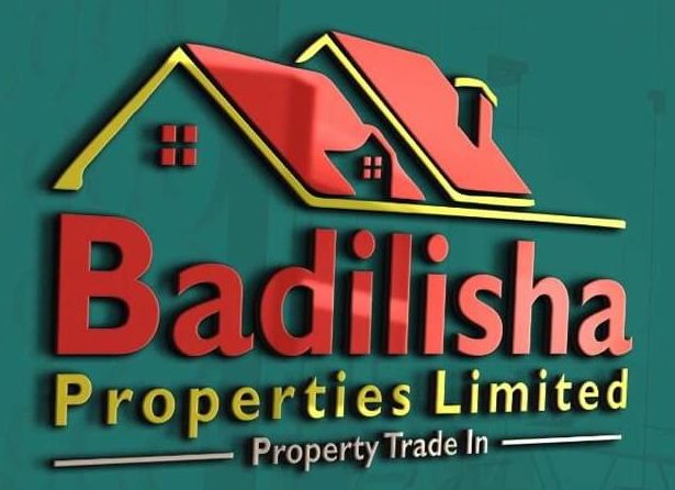 Badilisha properties Ltd